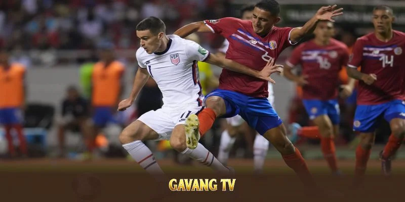 Câu hỏi thường gặp về gavang tv