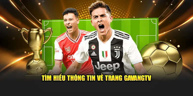 Tìm hiểu thông tin về trang gavangtv