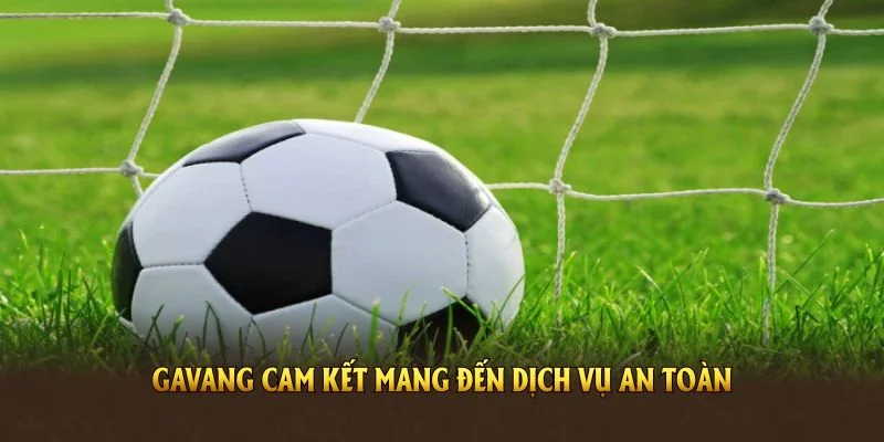 Gavang cam kết mang đến dịch vụ an toàn, chất lượng cho khán giả